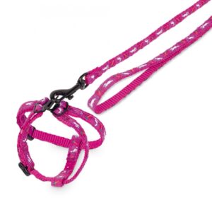 Nobby Carrot fialový postroj a vodítko pro králíka