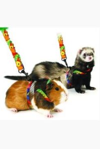 Postroj Art Joy vel. M králík, morče, fretka KAR