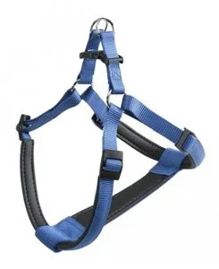 Postroj DAYTONA P M modrý FP 1ks