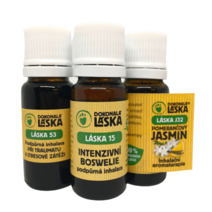 Dokonalá Láska Balíček pro všechny pejsky v útulku