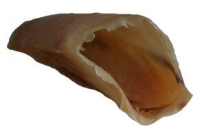 Hovězí kopýtko duté - 1 ks