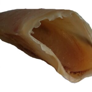 Hovězí kopýtko duté – 1 ks