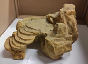 Skalka pískovcová A21