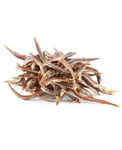 Want Dog poch. NoodleFish 100g