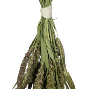 JR Farm Zelené senegalské proso 50 g