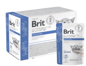 Brit Grain & Gluten-Free VD Cat Pouch fillets in Gravy Recovery 12x 85 g