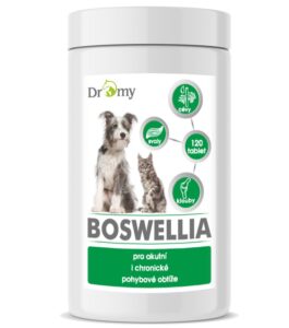 Dromy BOSWELLIA Serrata 750 g