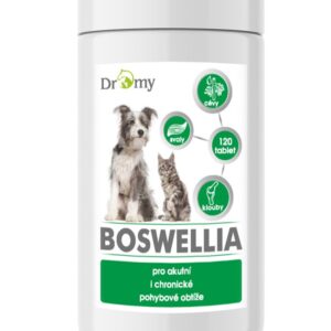 Dromy BOSWELLIA Serrata 750 g