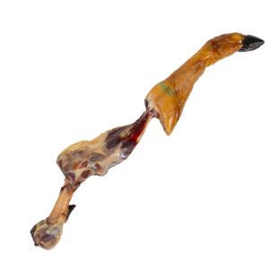 Magnum Iberian Bone XXXL