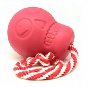 Marp Holistic Salmon - lososové bez obilovin vzorek 70g