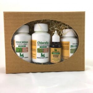 Dokonalá Láska LÁSKA 99 Příprava na sezónu