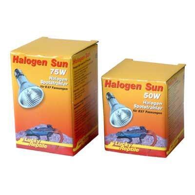 Lucky Reptile Halogen Sun 50w Lucky Reptile Halogen Sun 50w