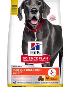Hill’s Can.Dry SP Perfect Digestion Large Breed 14kg