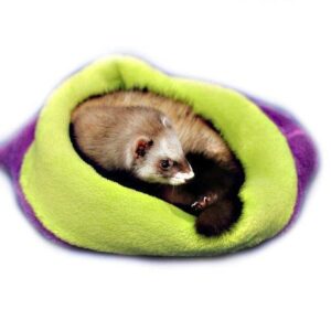 Marysa pelíšek 3v1 pro fretky, fialový/světle zelený