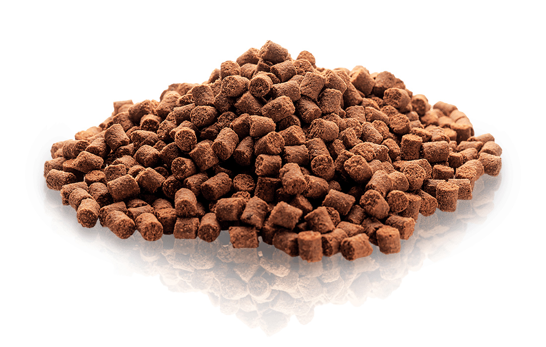 Essential Foods ES Motivation Delights 500 g Essential Foods ES Motivation Delights 500 g