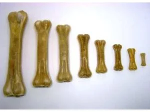 SALAČ, THAJSKO Přírodní kost 21-22cm (10/100)