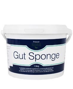Protexin Gut Sponge pro koně 1,5kg