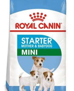 Royal Canin – komerční krmivo a Breed Royal Canin Mini Starter Mother&Babydog 8kg