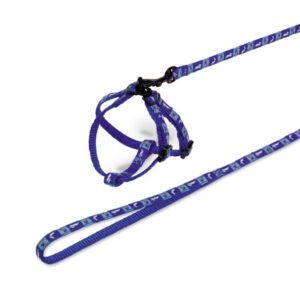 Nobby Carrot modrý postroj a vodítko pro králíka